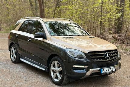 Mercedes-Benz ML 350 Gebrauchtwagen