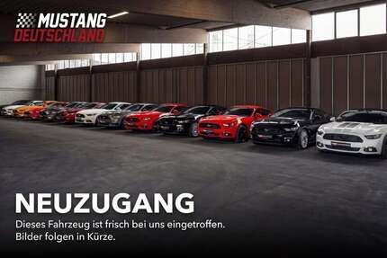 Ford Mustang Gebrauchtwagen