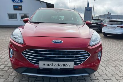 Ford Kuga Gebrauchtwagen