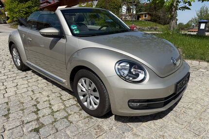 VW Beetle Gebrauchtwagen