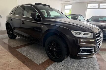 Audi Q5 Gebrauchtwagen