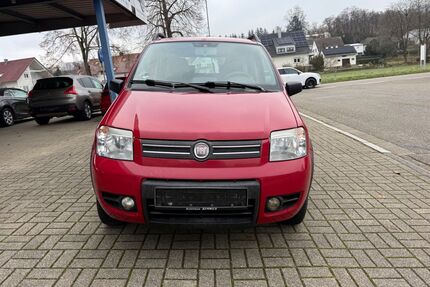 Fiat Panda Gebrauchtwagen