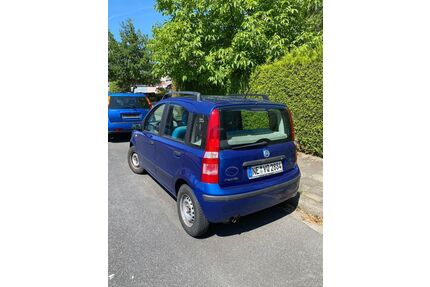 Fiat Panda Gebrauchtwagen