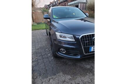 Audi Q5 Gebrauchtwagen