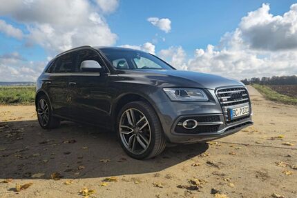 Audi SQ5 Gebrauchtwagen