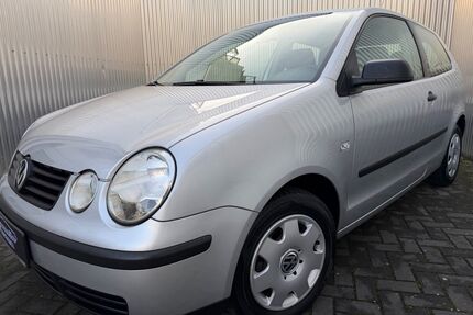 VW Polo Gebrauchtwagen