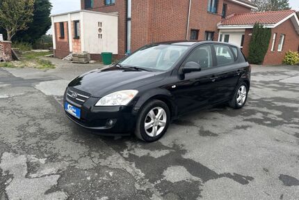 Kia ceed / Ceed Gebrauchtwagen