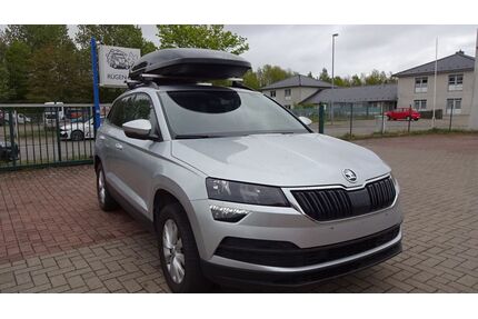 Skoda Karoq Gebrauchtwagen