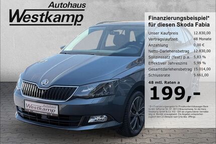 Skoda Fabia Gebrauchtwagen