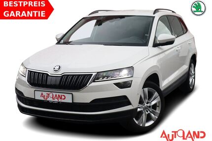 Skoda Karoq Gebrauchtwagen