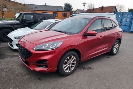 Ford Kuga Gebrauchtwagen