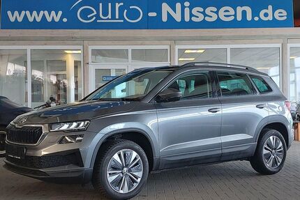 Skoda Karoq Gebrauchtwagen