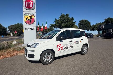 Fiat Panda Gebrauchtwagen