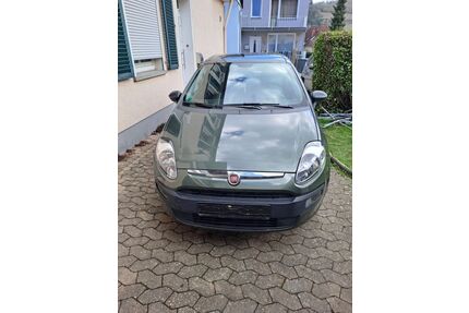 Fiat Punto Gebrauchtwagen