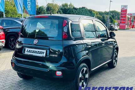 Fiat Panda Gebrauchtwagen