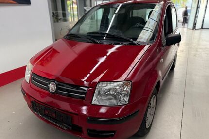 Fiat Panda Gebrauchtwagen