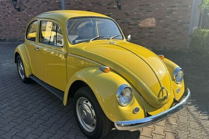 VW Käfer Gebrauchtwagen