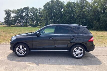 Mercedes-Benz ML 250 Gebrauchtwagen
