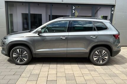 Skoda Karoq Gebrauchtwagen