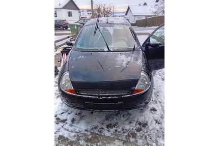 Ford Ka/Ka+ Gebrauchtwagen
