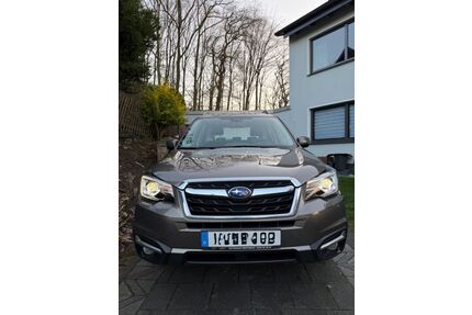 Subaru Forester Gebrauchtwagen