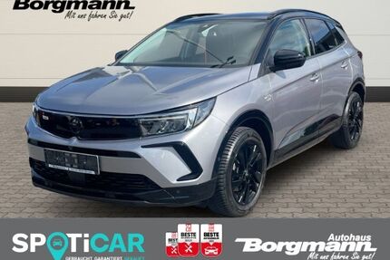 Opel Grandland (X) Gebrauchtwagen