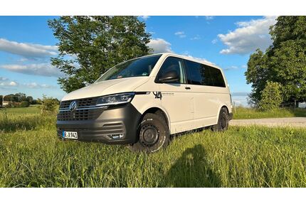VW T6 Transporter Gebrauchtwagen