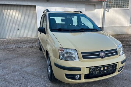 Fiat Panda Gebrauchtwagen