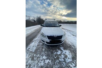 Skoda Praktik Gebrauchtwagen