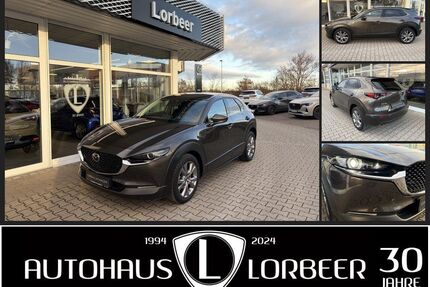 Mazda CX-30 Gebrauchtwagen