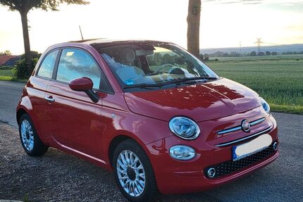 Fiat 500 Gebrauchtwagen
