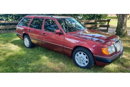 Mercedes-Benz 250 Gebrauchtwagen