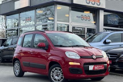 Fiat Panda Gebrauchtwagen