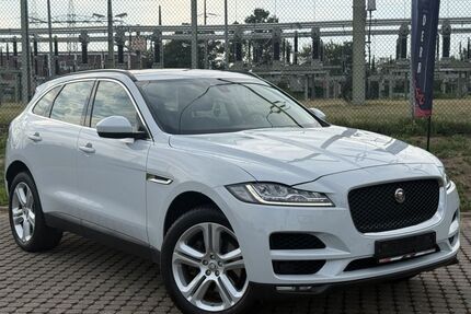 Jaguar F-Pace Gebrauchtwagen