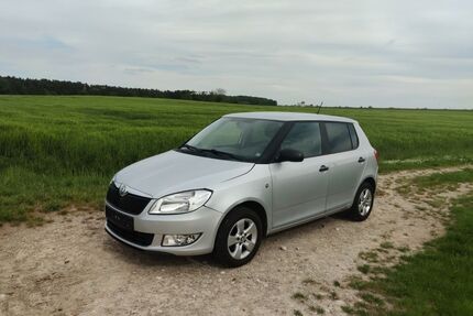 Skoda Fabia Gebrauchtwagen