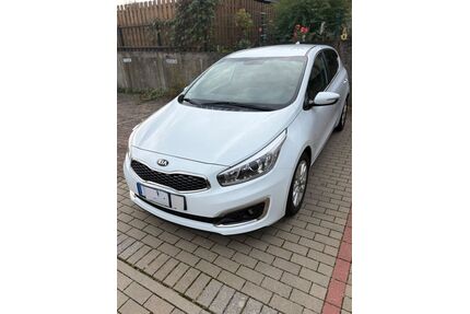 Kia ceed / Ceed Gebrauchtwagen