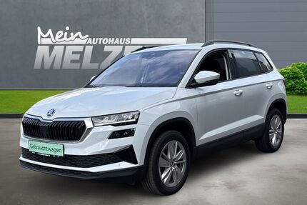 Skoda Karoq Gebrauchtwagen