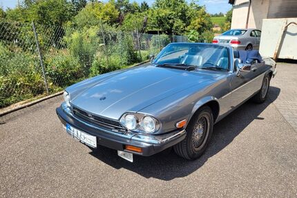 Jaguar XJS Gebrauchtwagen