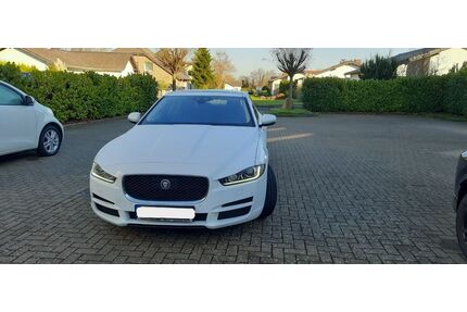 Jaguar XE Gebrauchtwagen