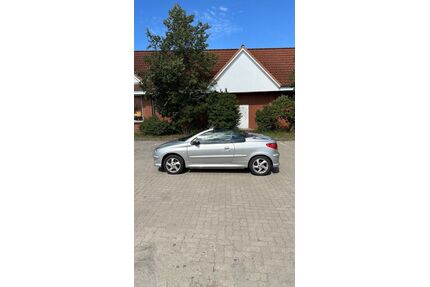 Peugeot 206 Gebrauchtwagen