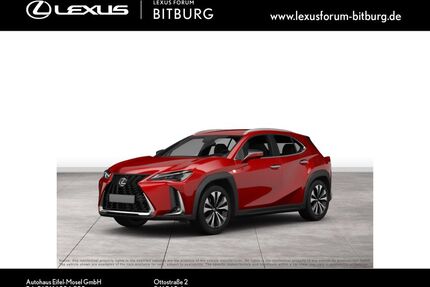 Lexus UX Gebrauchtwagen