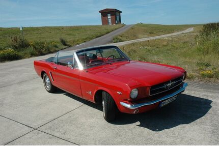 Ford Mustang Gebrauchtwagen