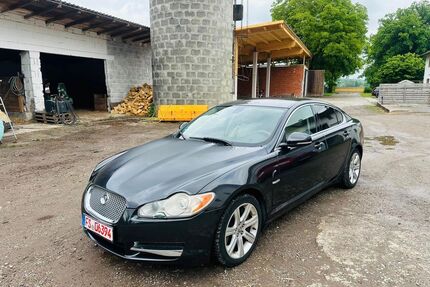 Jaguar XF Gebrauchtwagen