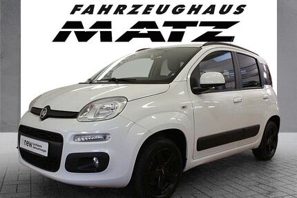 Fiat Panda Gebrauchtwagen