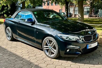 BMW 230 Gebrauchtwagen