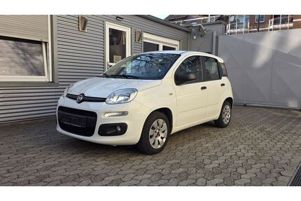 Fiat Panda Gebrauchtwagen
