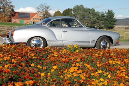 VW Karmann Ghia Gebrauchtwagen