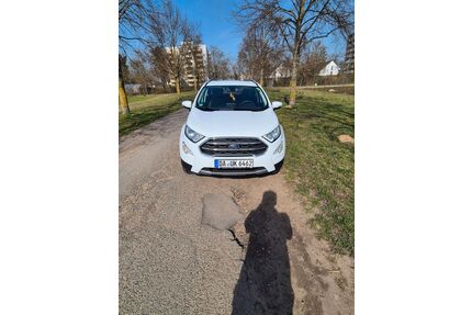 Ford EcoSport Gebrauchtwagen