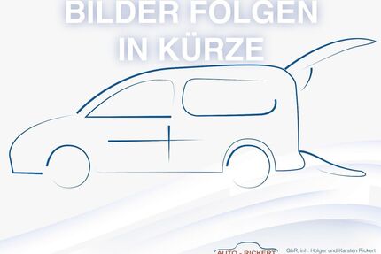 Ford Tourneo Connect Gebrauchtwagen