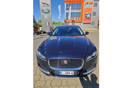Jaguar XF Gebrauchtwagen